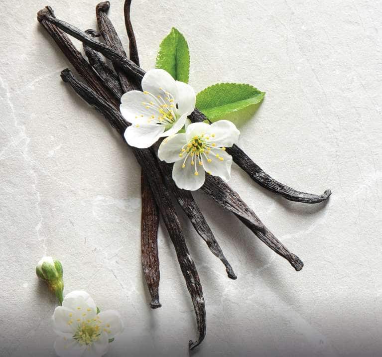 Rainforest Alliance Certified Vanilla