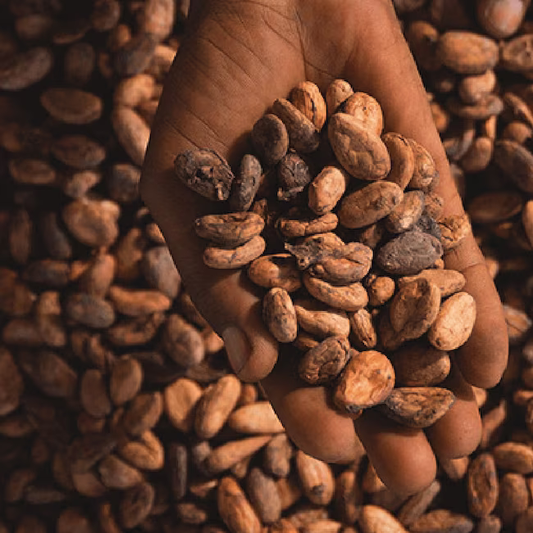 History Of Chocolate