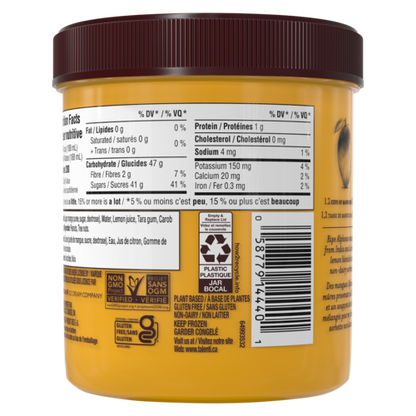 Talenti Alphonso Mango gelato pint rear view showing nutrition information